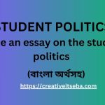 Write an essay on the student politics